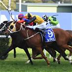 winx stakes bet